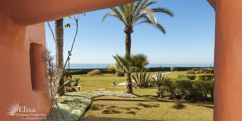 MORA (43)